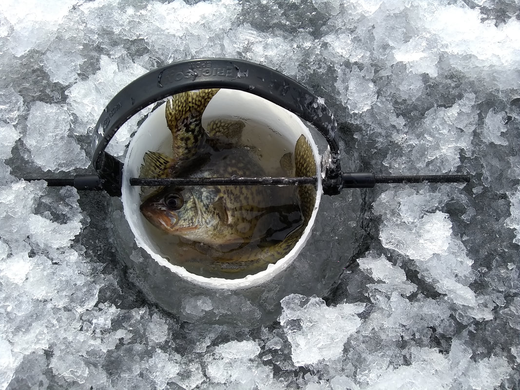 ice fishing pail EVA KAN keep warm tip-up do not freeze elastic save baitfish 